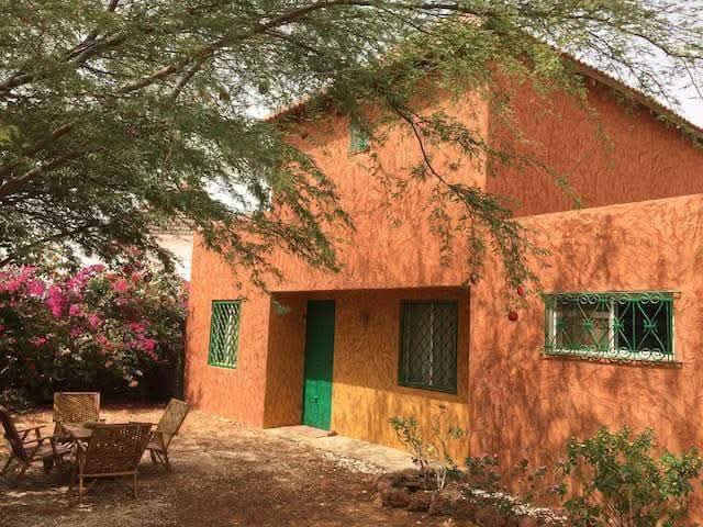 WhatsApp Image 2026-01-27 at 19.22.26 (1)