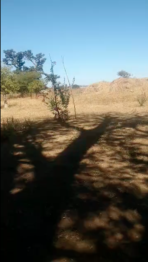 Capture d’écran 2026-02-19 à 08.28.32