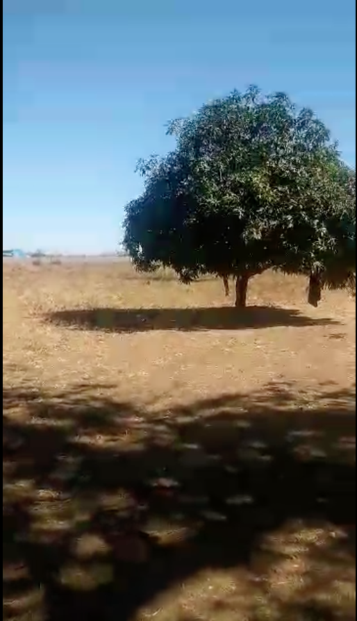 Capture d’écran 2026-02-19 à 08.28.58