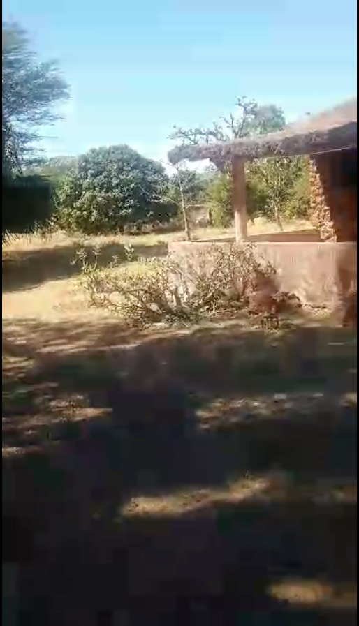 Capture d’écran 2026-02-19 à 08.31.29