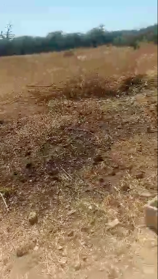 Capture d’écran 2026-02-19 à 08.32.39