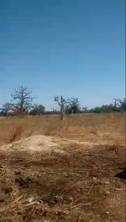 Capture d’écran 2026-02-19 à 08.33.13