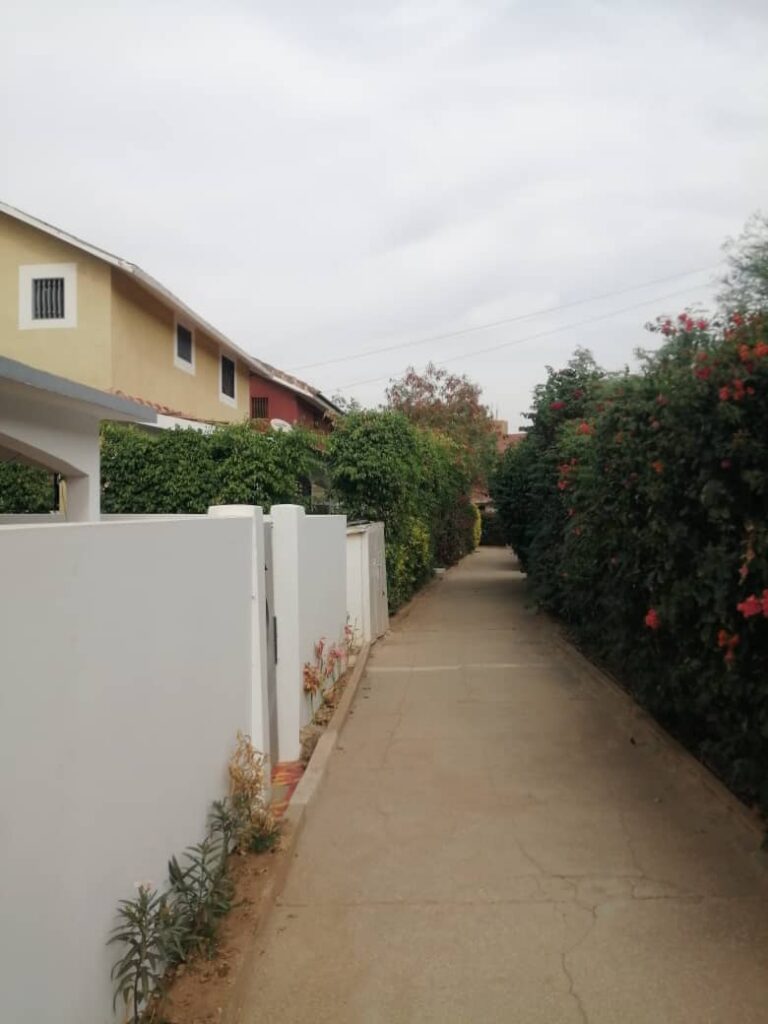 WhatsApp Image 2026-02-11 at 19.22.23