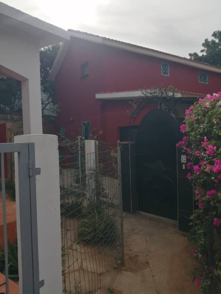 WhatsApp Image 2026-02-11 at 19.22.24