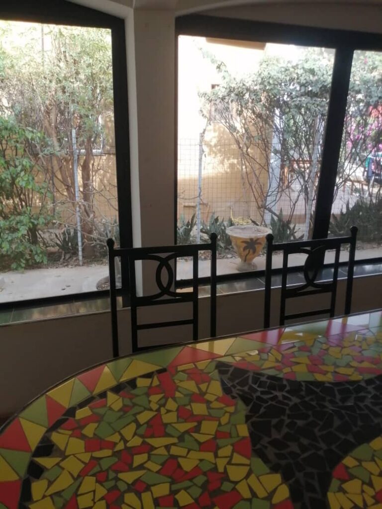 WhatsApp Image 2026-02-11 at 19.22.25