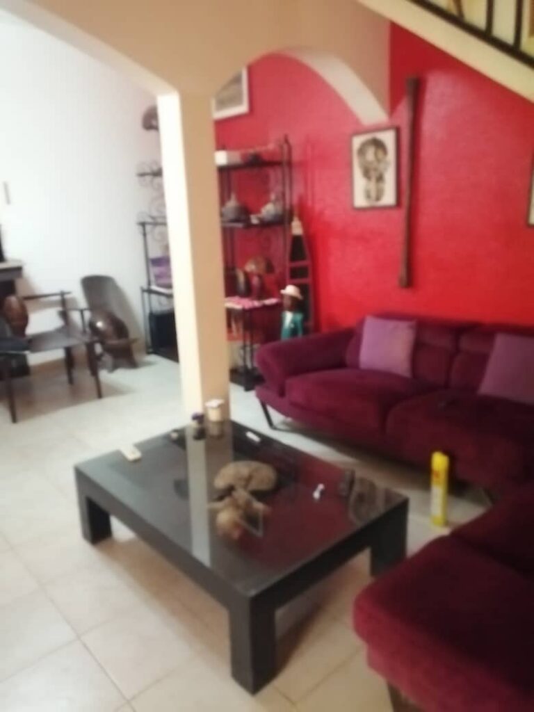 WhatsApp Image 2026-02-11 at 19.22.26 (1)