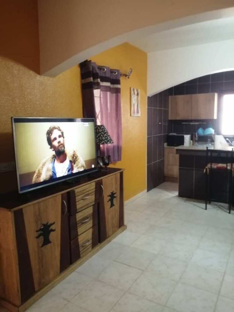 WhatsApp Image 2026-02-11 at 19.22.26