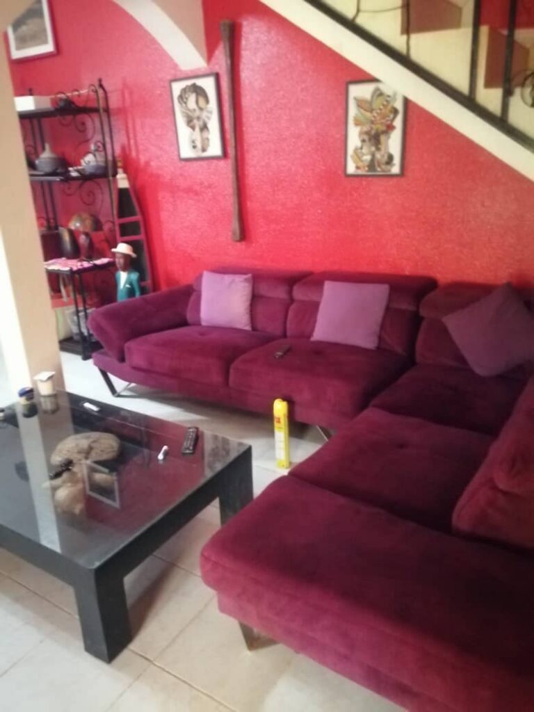 WhatsApp Image 2026-02-11 at 19.22.27