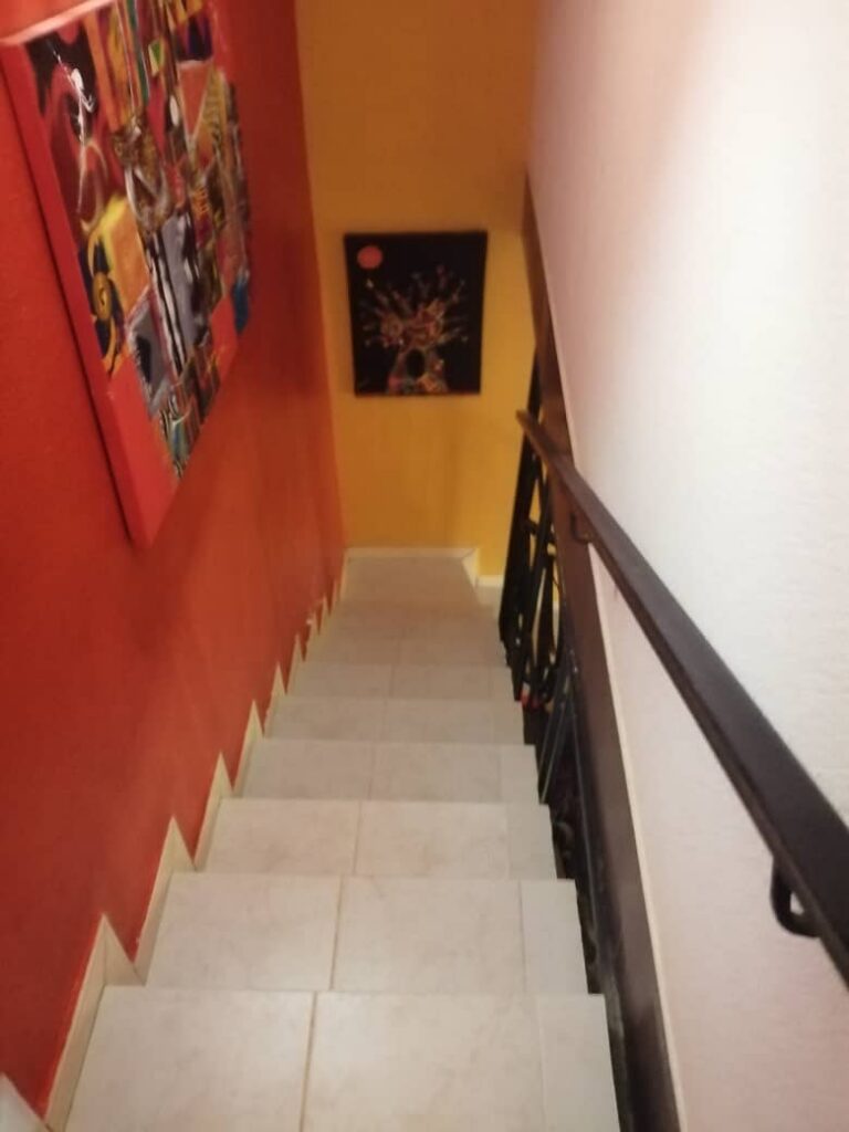 WhatsApp Image 2026-02-11 at 19.22.29