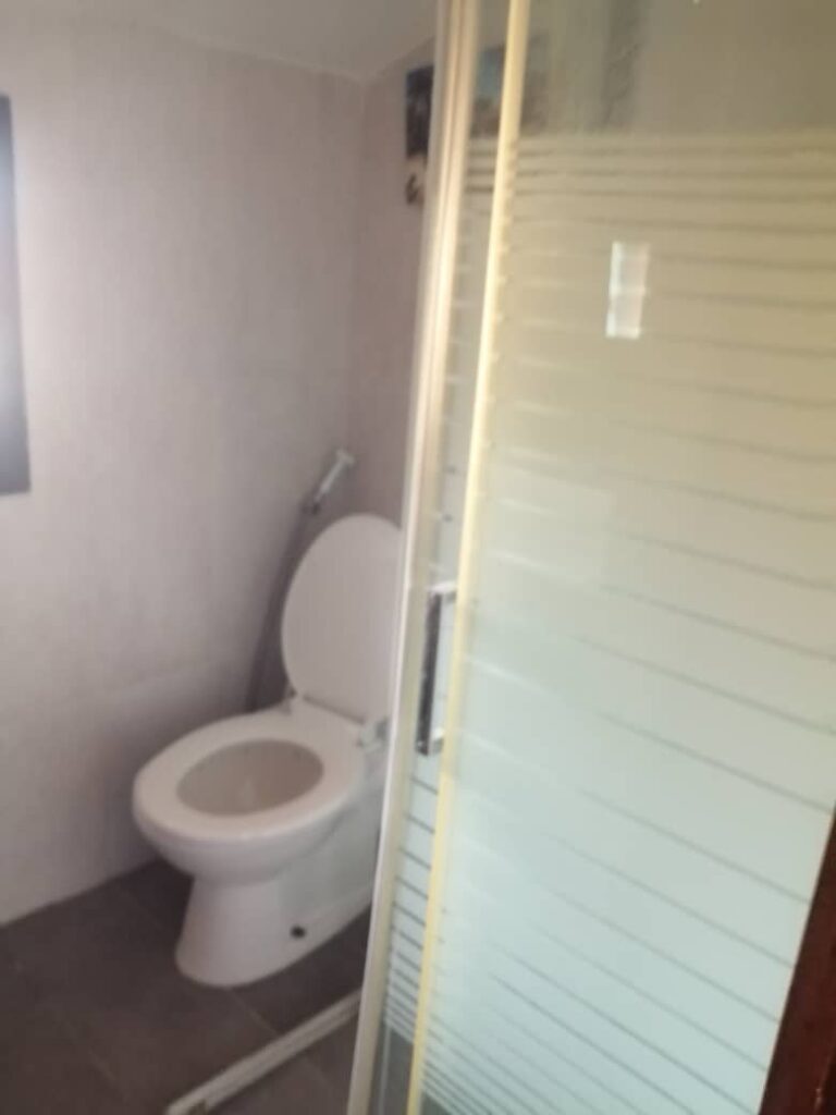 WhatsApp Image 2026-02-11 at 19.22.30