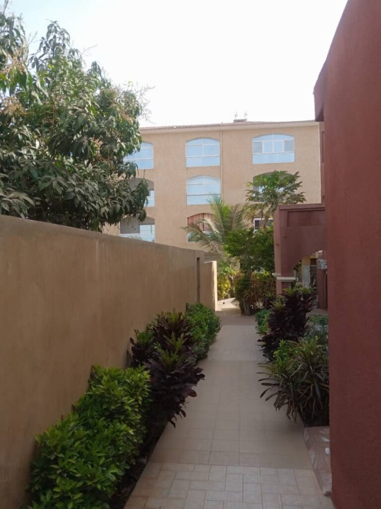 20b566a5-2fa3-4155-99ad-a83dd768448a